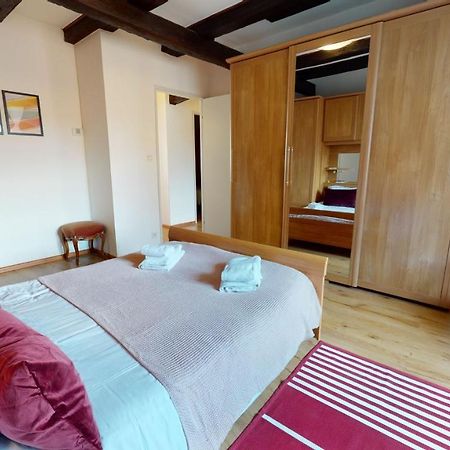 Aux Bijoux De Colmar - Le Saphir - 1 Parking Gratuit Apartman Kültér fotó